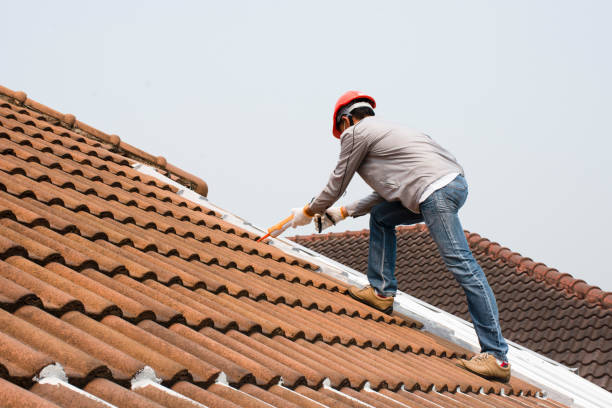 Professional Roofing service in Trail Creek, IN